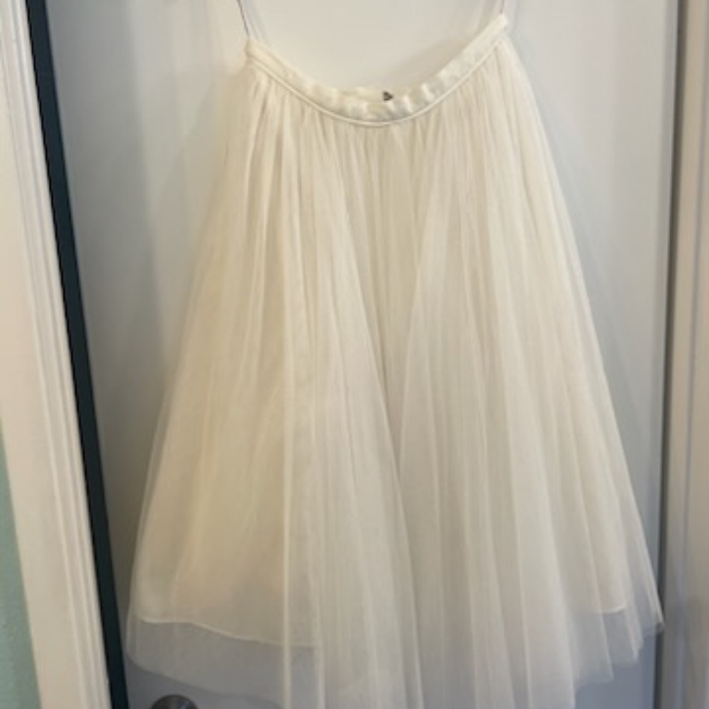 Jenny Yoo Tulle Skirt